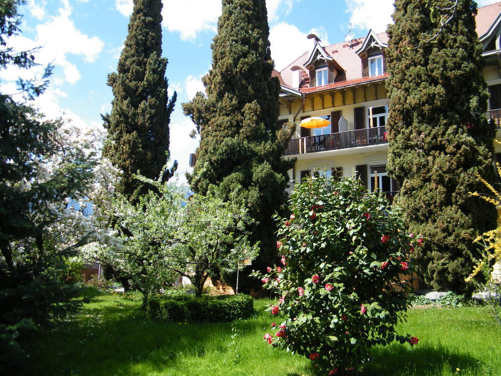 Hotel Angelica 3*